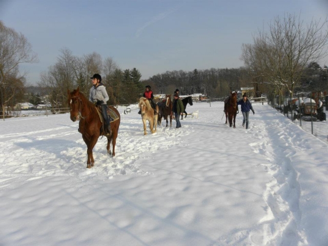 An unforgettable horse ride 
